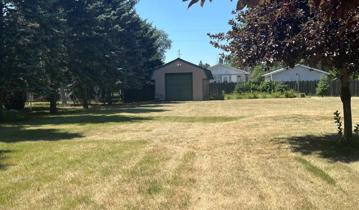 Side yard with shed